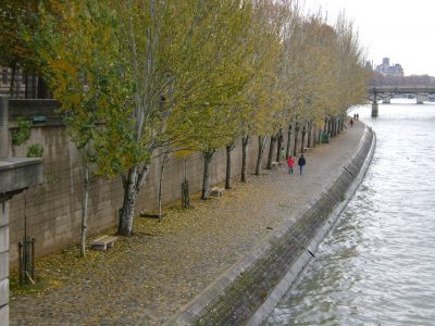 Margem do rio siena em Paris