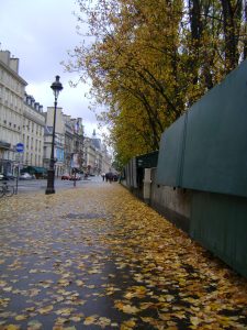 Rua com folhas de outono na calçada em Paris