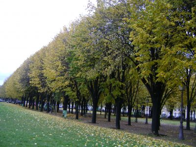 Parque com folhas secas no outono em Paris