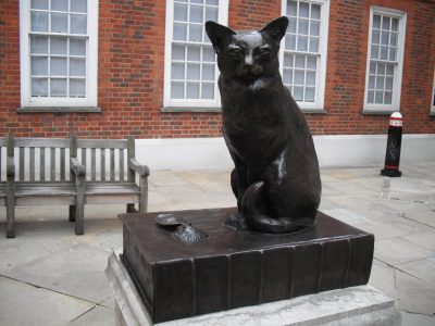 estatua do gato do dr johnson sob um livro na godge square praça de londres