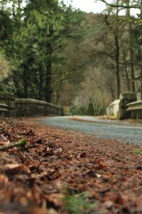 folhas secas de outono na beira da estrada prozimo a um lago e uma ponte no interior do pais de gales.