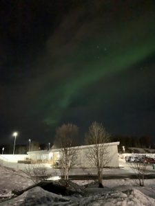 aurora boreal em cima de arvores e de casa com o chao cheio de neve no norte da noruega
